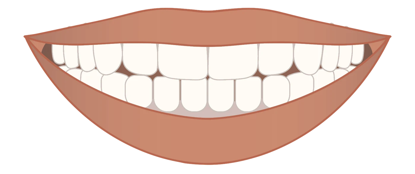Vertical Incisal Position illustration (hidden)